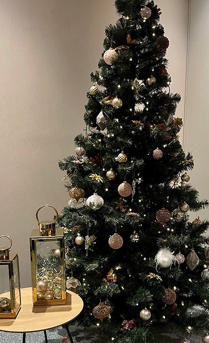 The popular cardigan